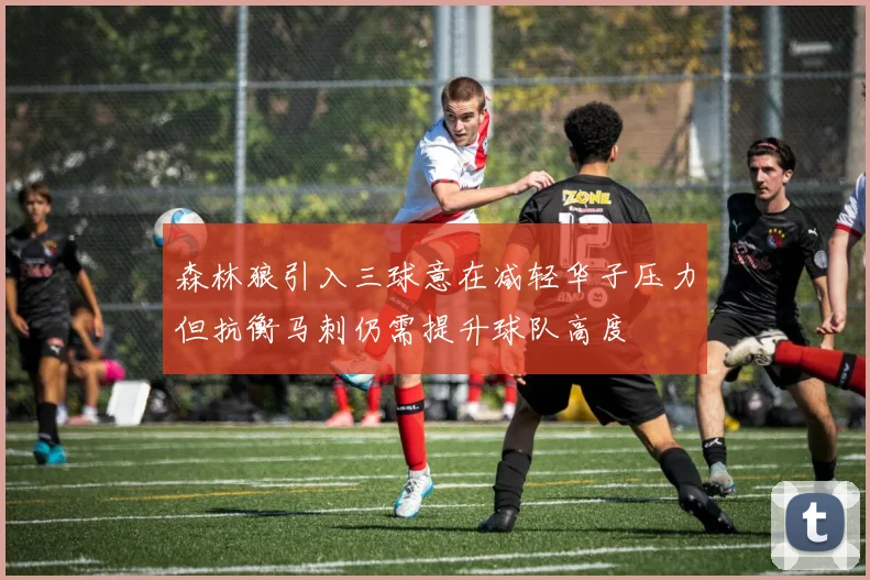 森林狼引入三球意在减轻华子压力但抗衡马刺仍需提升球队高度